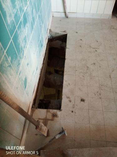 termy bania bialka 11