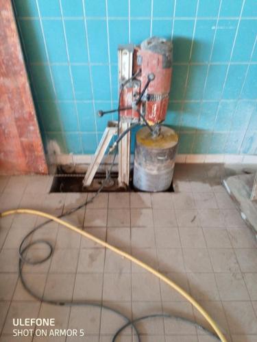 termy bania bialka 12