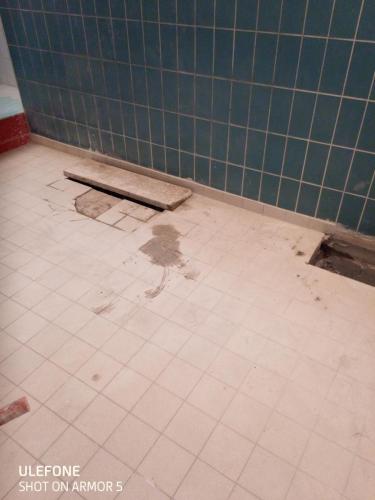 termy bania bialka 14