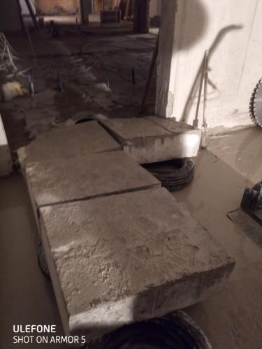 termy bania bialka 6